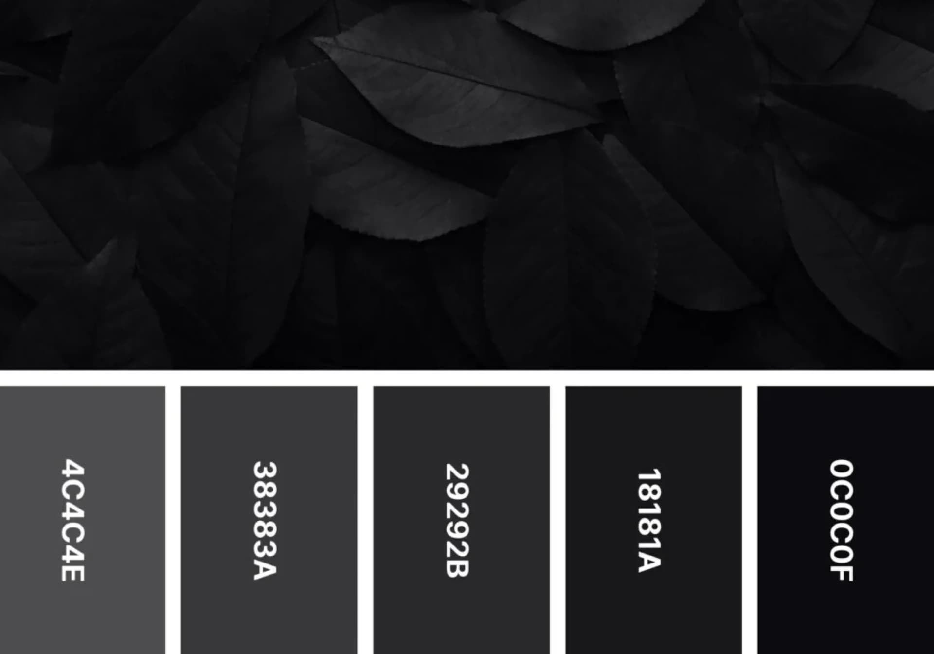 Dark charcoal color palette with layered black leaves and grayscale swatches.