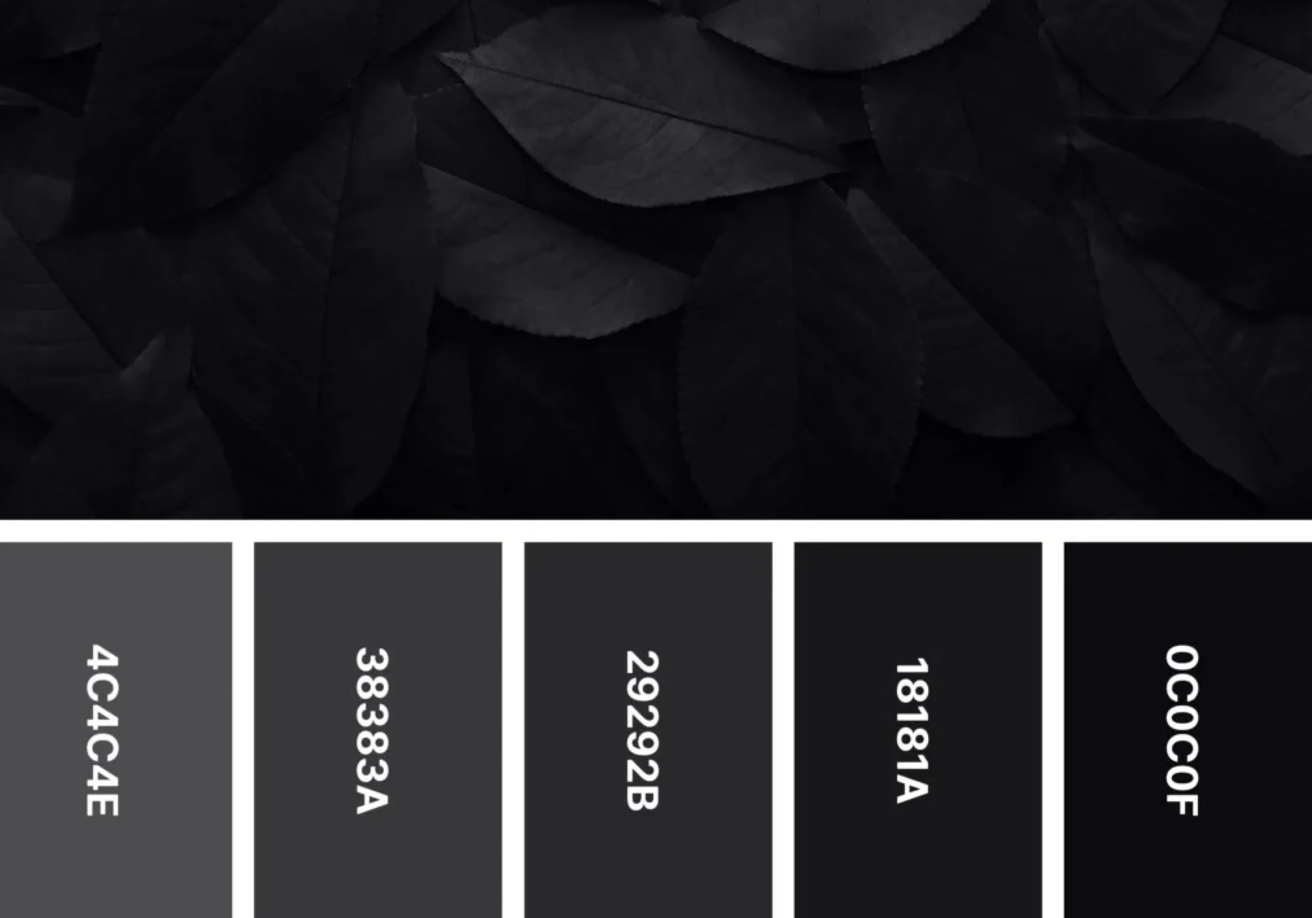 Dark charcoal color palette with layered black leaves and grayscale swatches.