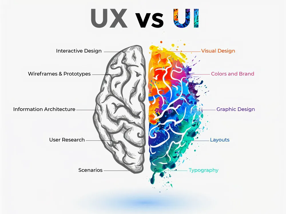 Illustration comparing UX and UI design, showing a brain split in half with UX concepts like research and wireframes on one side and UI elements like colors, typography, and layouts on the other.